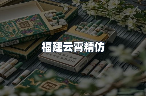 福建云霄精仿